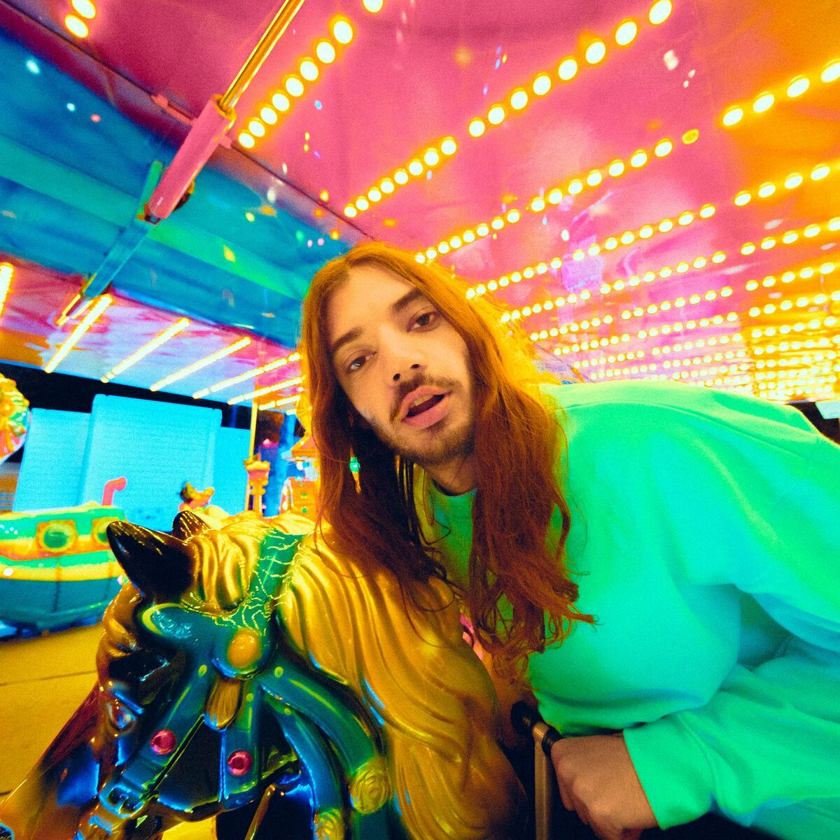 lujipeka montagnes russes